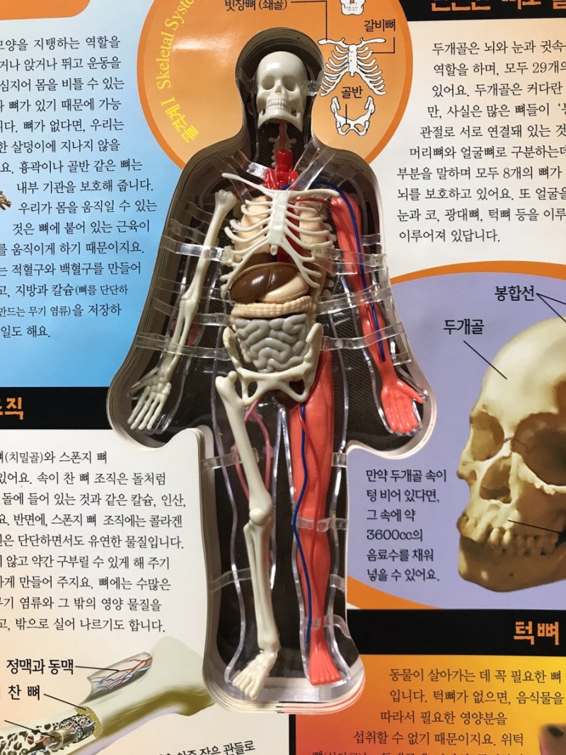 UE4 | TA 생존기록 | 페이지 2, image size:800x1067