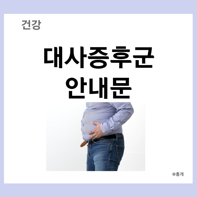 대사증후군 안내문, 대사증후군 식단, 증상, 대사증후군 진단기준