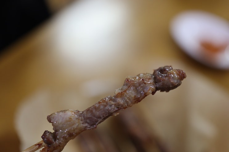  호구포상회 양꼬치 / 내돈내산 술안주 양꼬치 추천