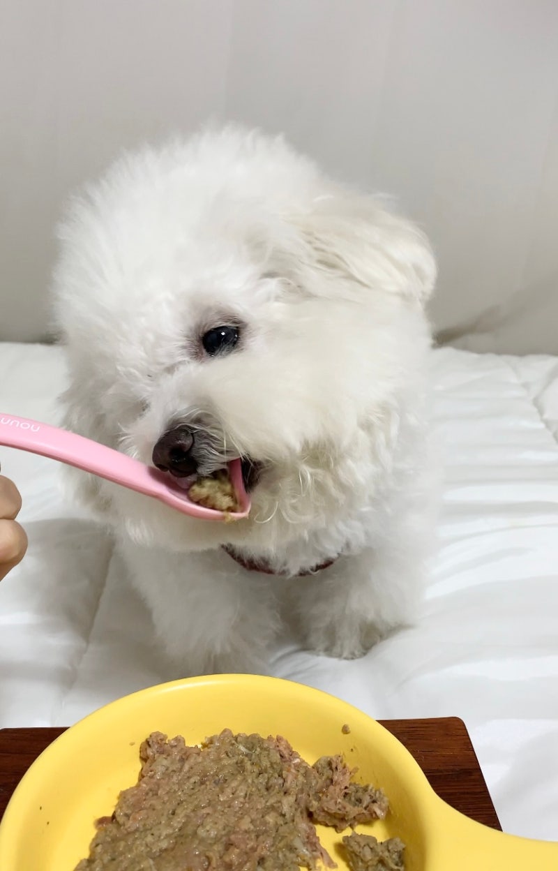 강아지 오리고기 화식 추천 레이앤이본 자연식