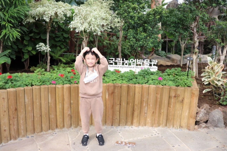  수원 농업박물관 예약, 유아만 필수. 초딩이상은 그냥 가시길!