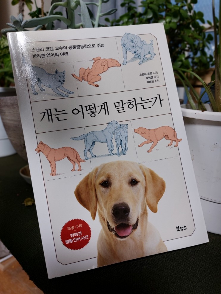 동물행동학 책: 개는 어떻게 말하는가 반려견 행동언어사전