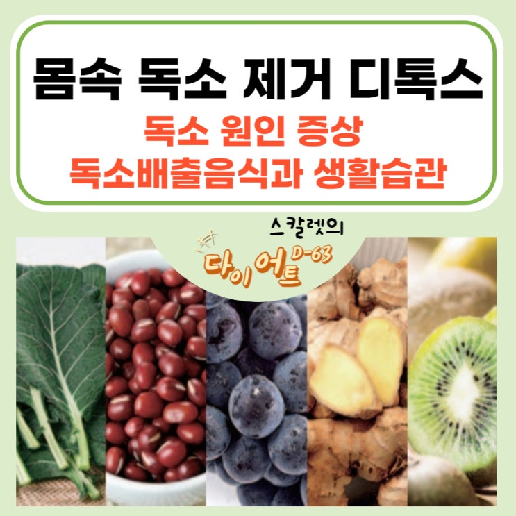 몸속 독소 제거 디톡스 음식 독소 원인 증상 독소배출 음식과 생활습관
