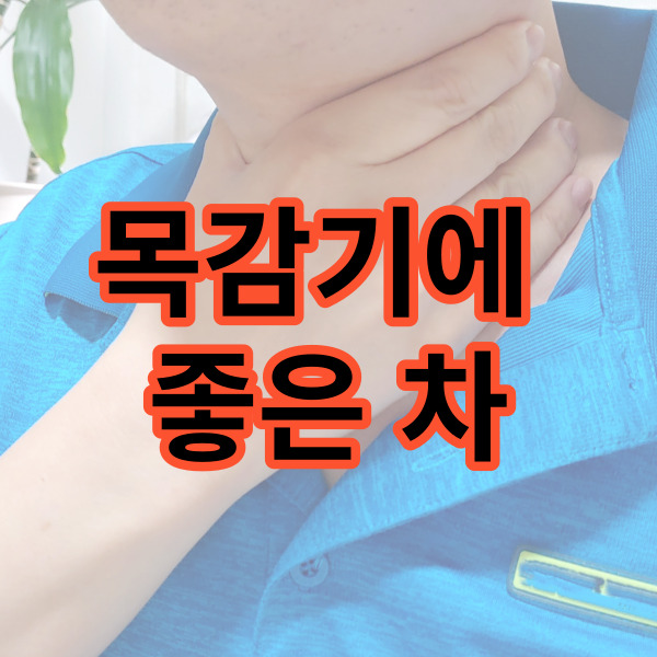  목감기에 좋은 차 취향 따라 골라 먹어요!