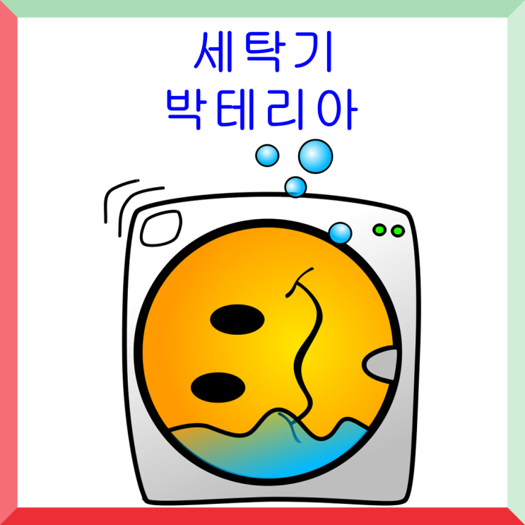  세탁기 속에 질병을 일으키는 박테리아가 숨어있다면