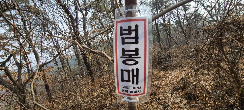 노판산 사진 4