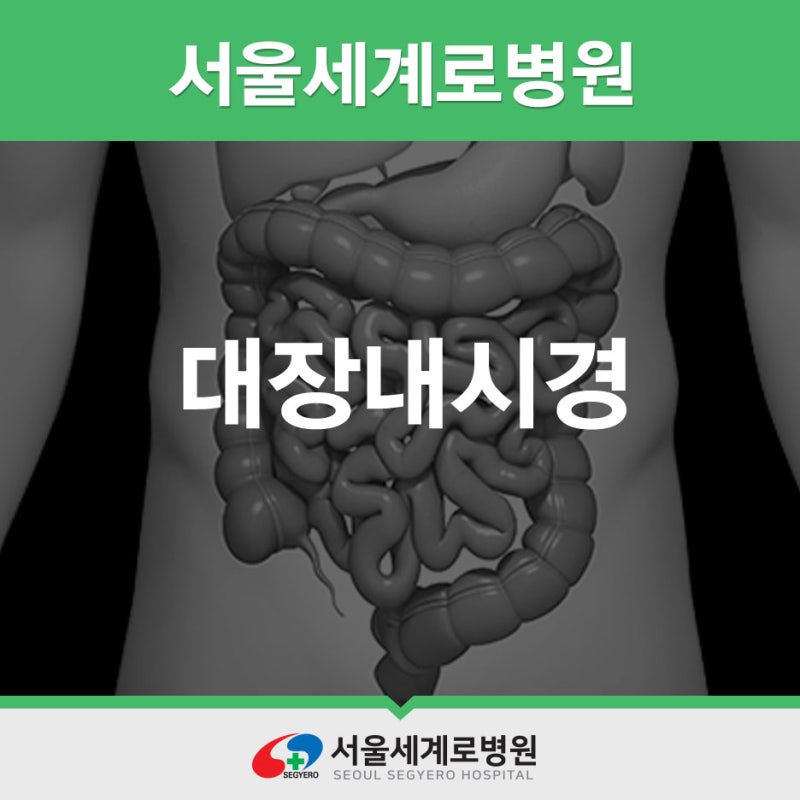대장내시경 병원을 찾고 있다면? 위례