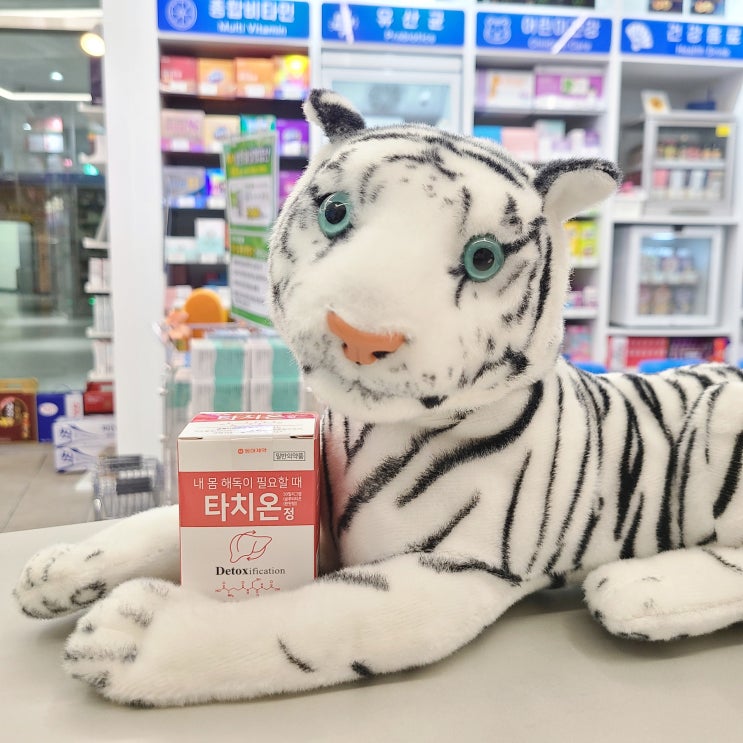  해독이 필요할때  [ 타치온정 ]/글루타치온/에바치온/글루타티온환원형