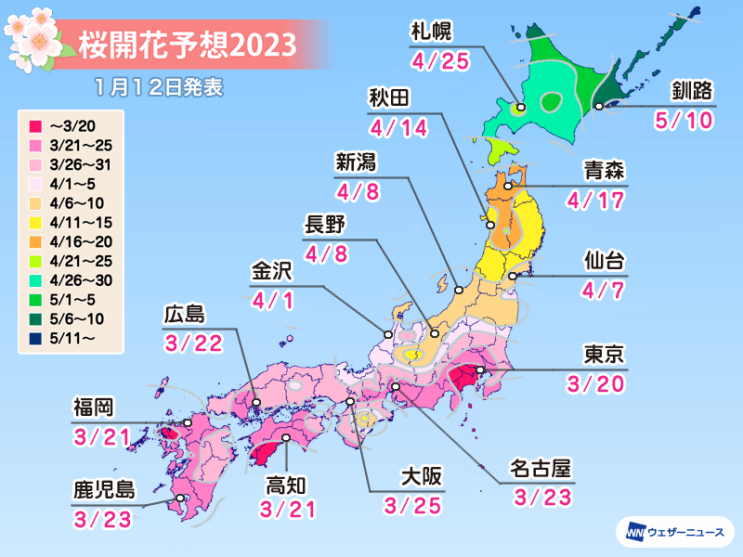 2023 일본 지역별 벚꽃 개화시기 (도쿄 3월 20일)