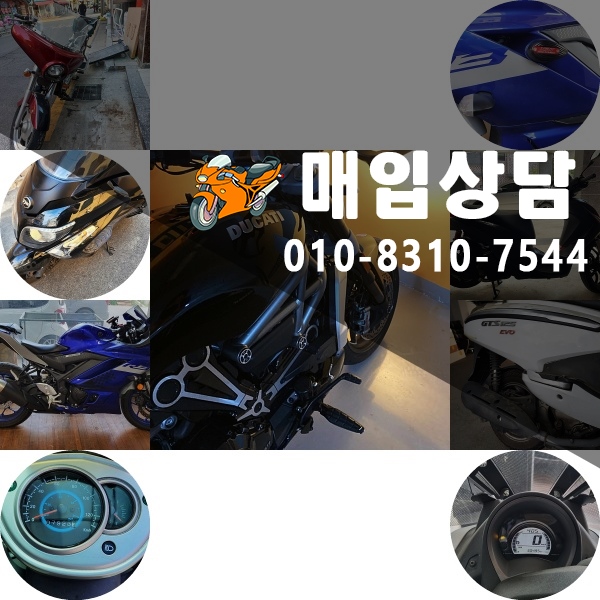  대구 오토바이매입 중고 할리데이비슨/pcx/두가티/nmax 매매 가능