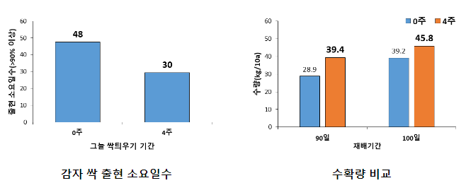 봄 감자 안정 재배를 위한 씨감자 관리요령 봄 감자 안정 재배를 위한 씨감자 관리요령