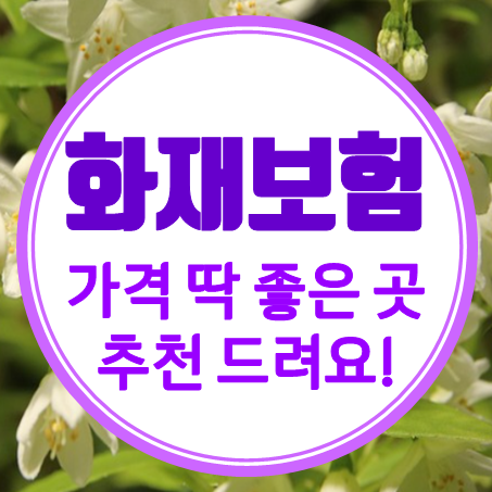  아파트주택화재보험 가격 딱! 괜찮은 소멸성 아파트화재보험추천 견적 받아보세요.