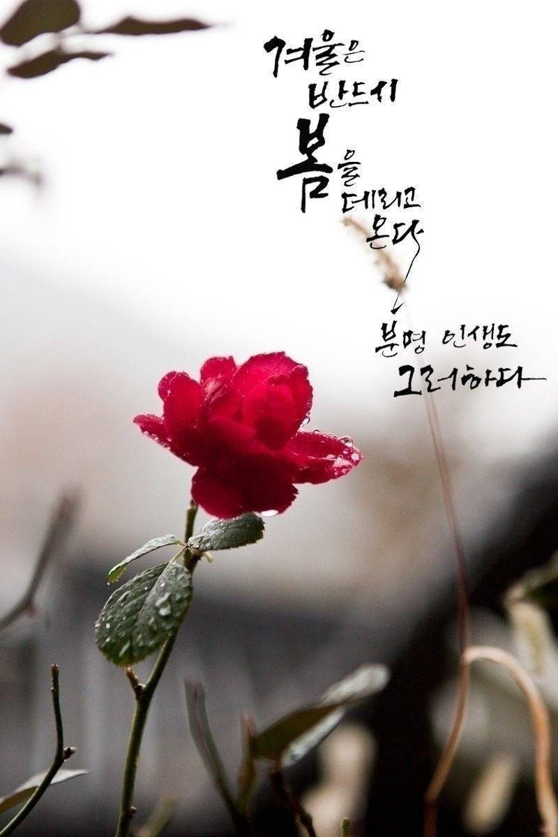 분당법무사 성별정정허가신청, 3