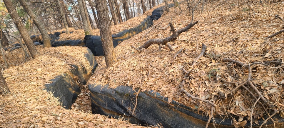 노판산 사진 3