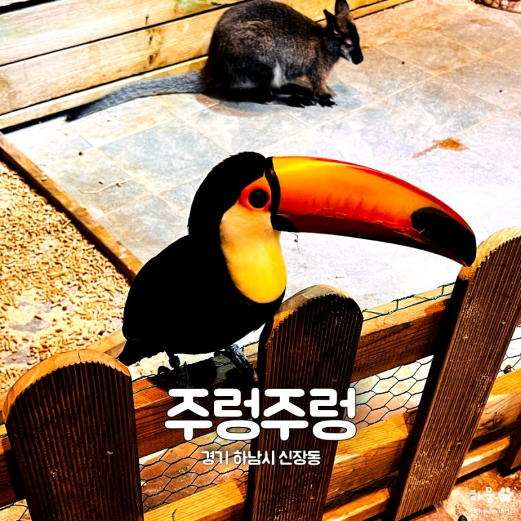  하남스타필드 주렁주렁 키즈카페&실내동물원 할인, 주차요금