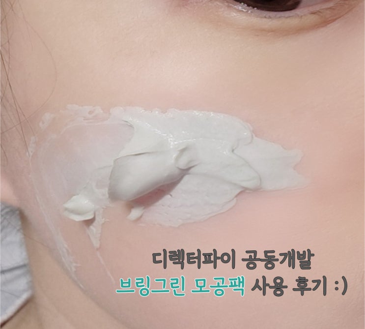  디렉터파이 브링그린 티트리 시카 모공팩 : 사용 후기 :)