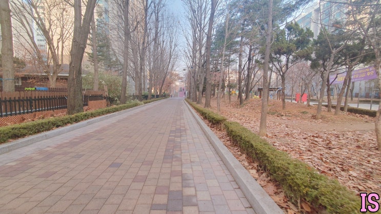   투데이 다이어리  당신의 출근길은 어떠한가요?? 무선이어폰과 함께하는 도보 출근길의 여유