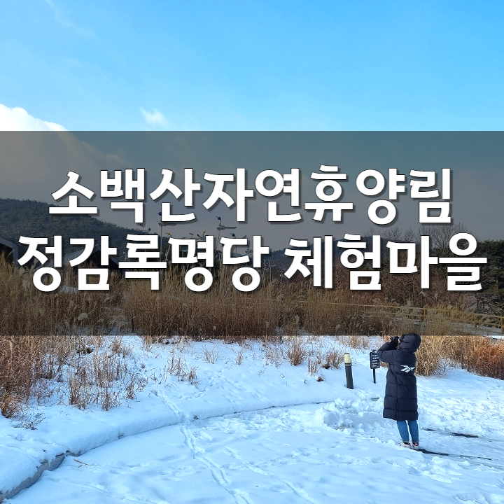소백산자연휴양림 정감록 명당 체험마을 겨울 산책