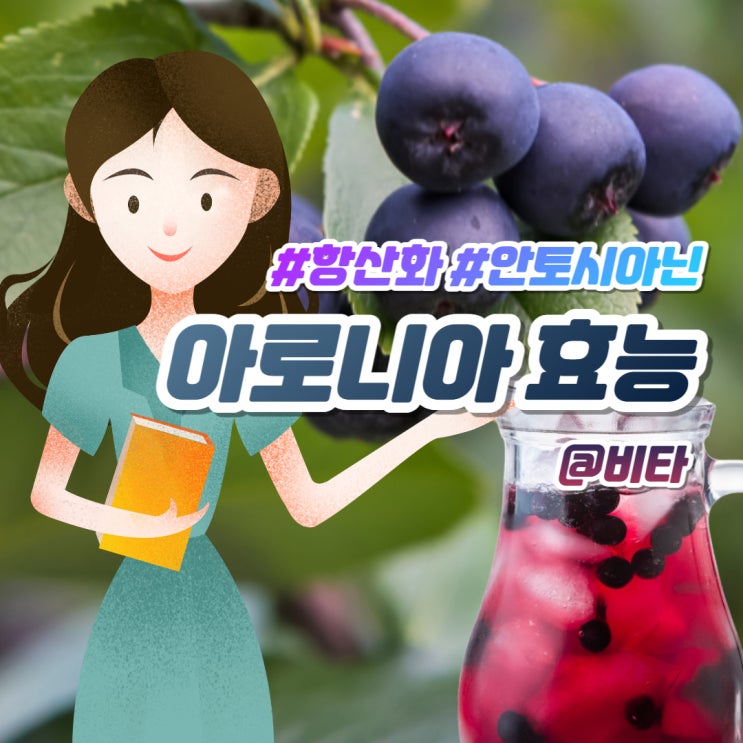  아로니아 효능 안토시아닌 항산화 식품