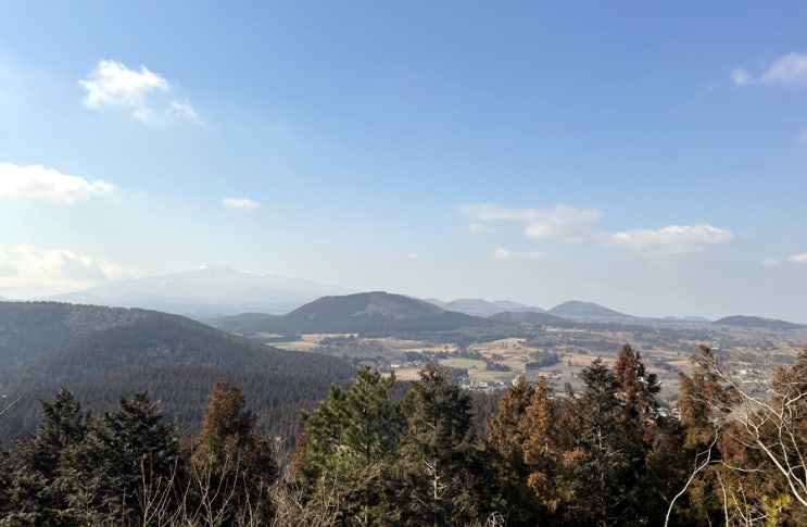 제주 거문오름 예약하고 제주세계자연유산센터까지 관람해요