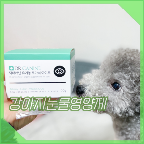 강아지눈물영양제 자국, 눈꼽 관리 닥터캐닌 로가닉아이즈