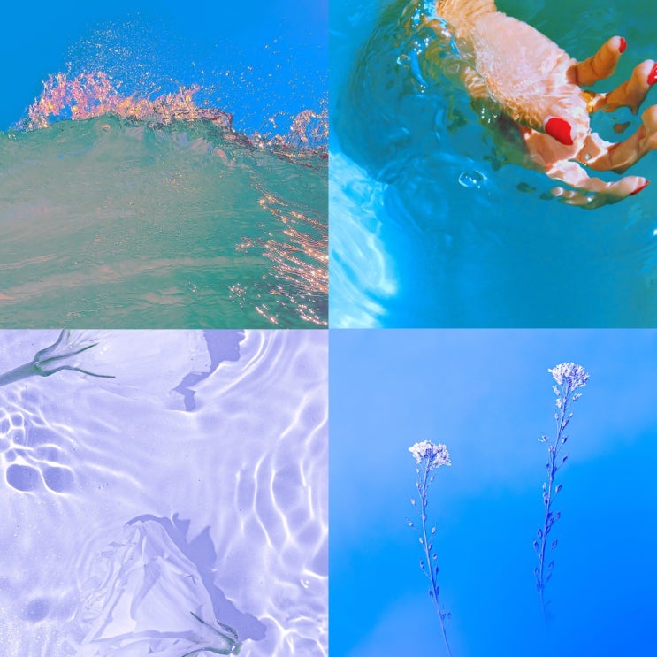  비비드 파도 꽃 파랑 보라 색감 아이폰 고화질 배경화면 wallpaper wave vivid aesthetic blue purple colorful