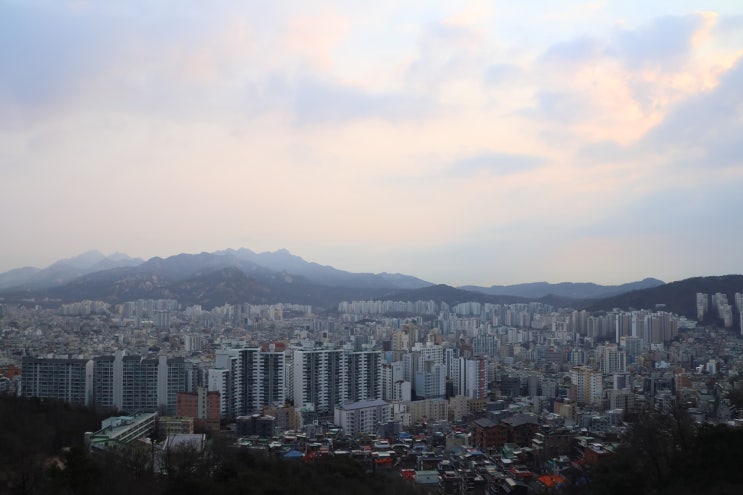  서울 은평구 가볼만한곳 봉산 편백나무 치유의 숲