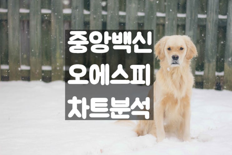  반려동물 관련주 TOP2 집중 분석