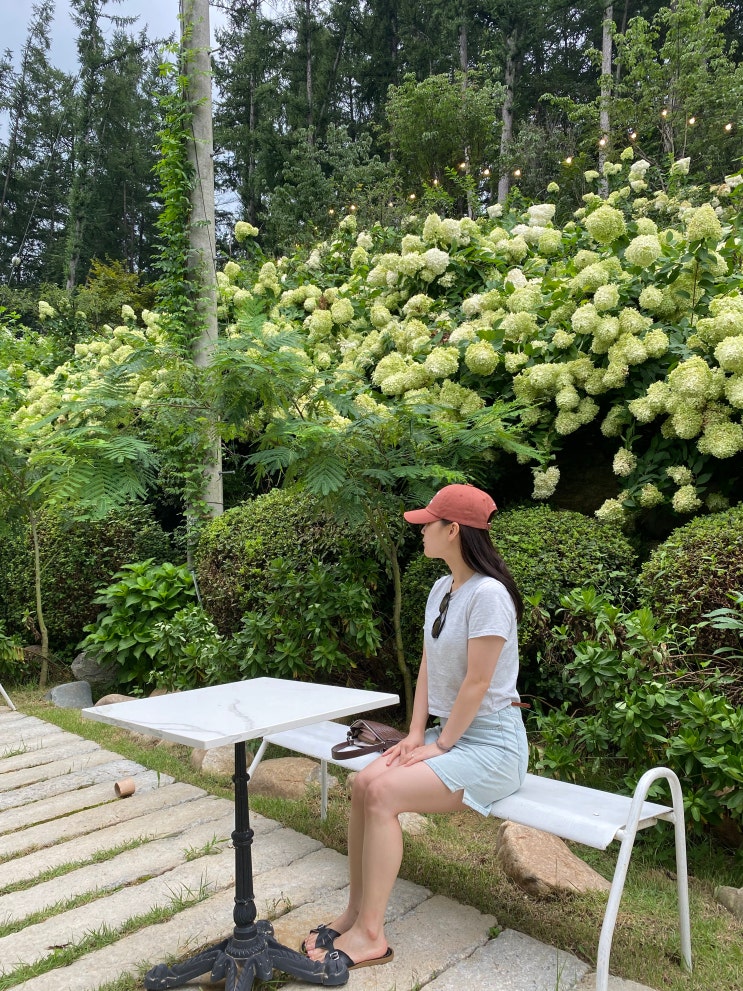  간헐적단식 767일차 제스파발마사지기 2개월 써보니