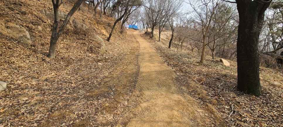 노판산 사진 6