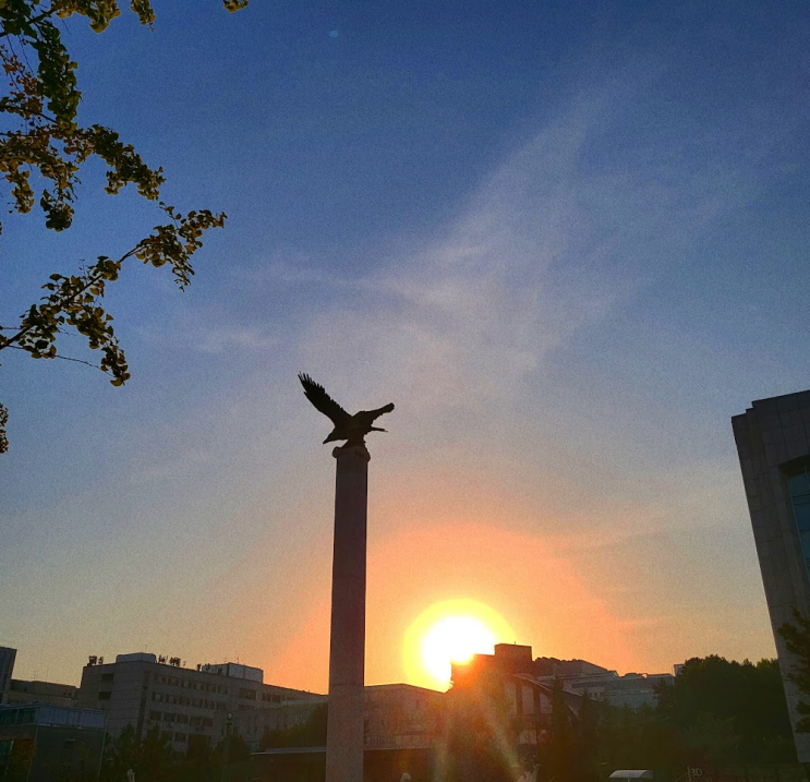  지난 2년간의 하늘과, 나의 하늘
