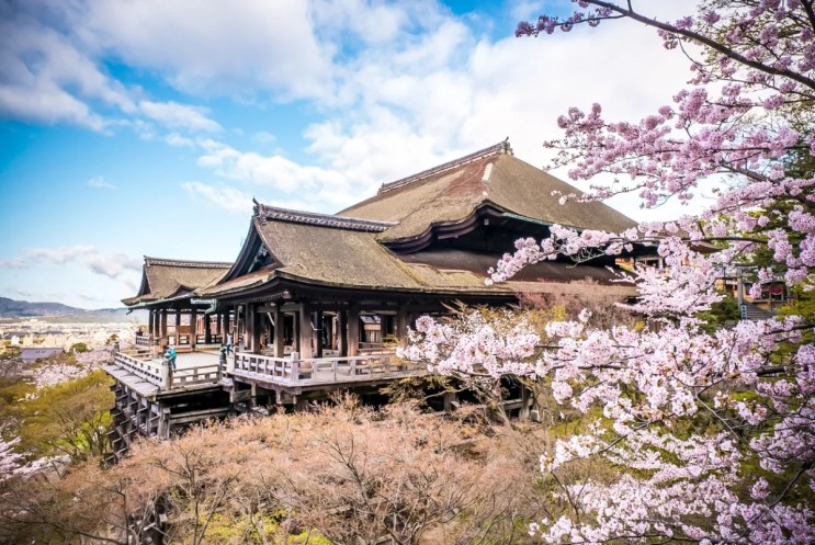 일본 오사카 여행 교토 후쿠오카 벚꽃 개화시기 만개시기 + 교토 일일 투어 쿠폰 할인