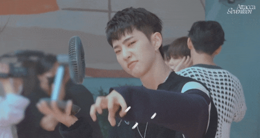  세븐틴 상황문답- 사랑스러운 모기에 빙의되어봤다