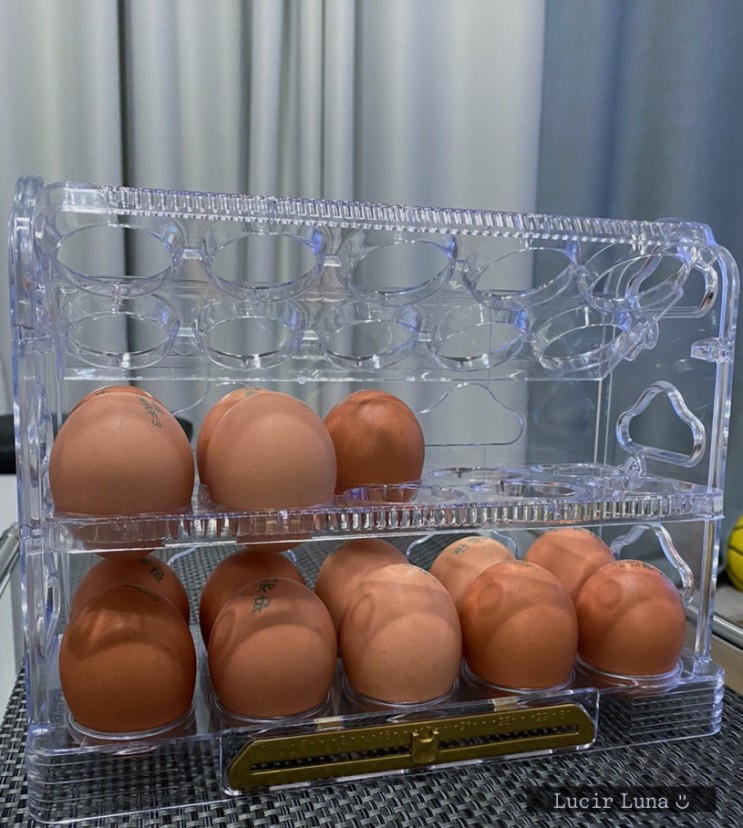 계란보관함으로 냉장고 정리하기 (초보 살림인 예쁨 못 잃어)