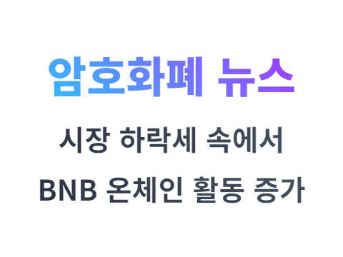 BNB 체인 시장 하락세 속에서 온체인 활동 증가