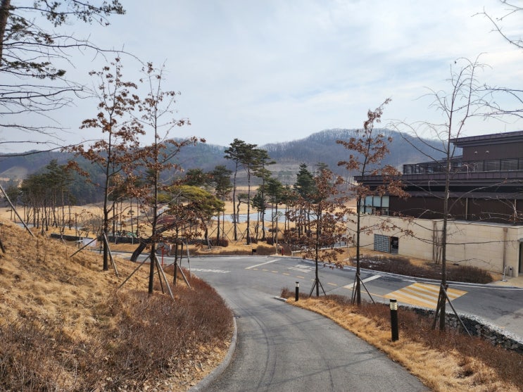  2023년 2월7일 세현cc
