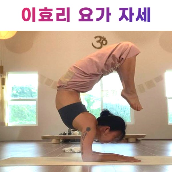  대화역 요가 이효리 요가 자세 도전하는 이유