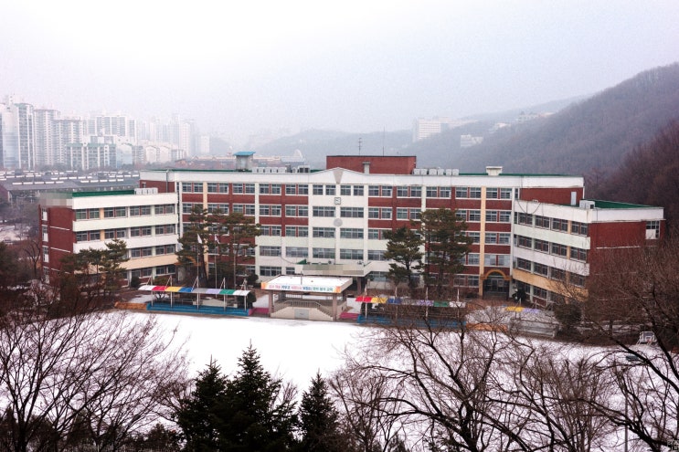  학교폭력과 촉법소년, 소년범죄 이야기