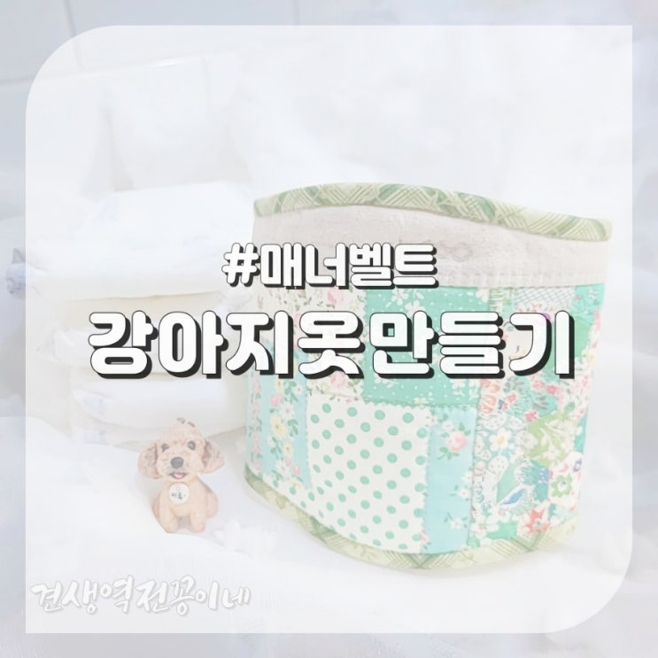  강아지옷 만들기 실내애견카페/노견 필수템 강아지 매너벨트