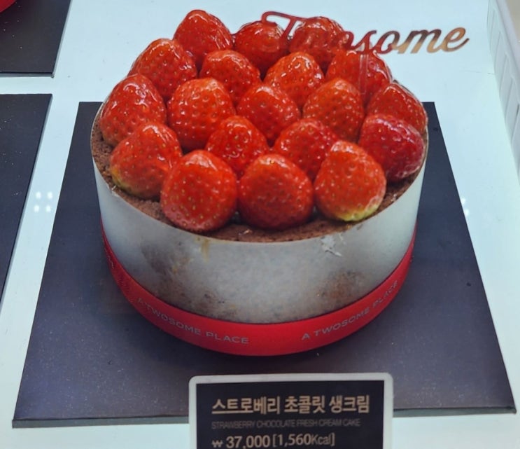  투썸 케이크 홀케익종류와 가격 / 칼로리까지!