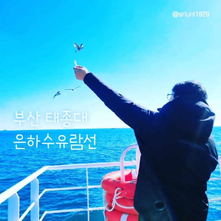  [나들이] '23. 2월 5일 부산 태종대 즐기기 은하수유람선+생선구이