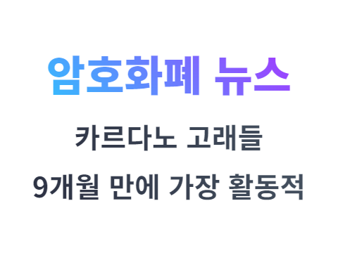 카르다노 ADA 코인 고래는 9개월 만에 가장 활동적인 주 기록