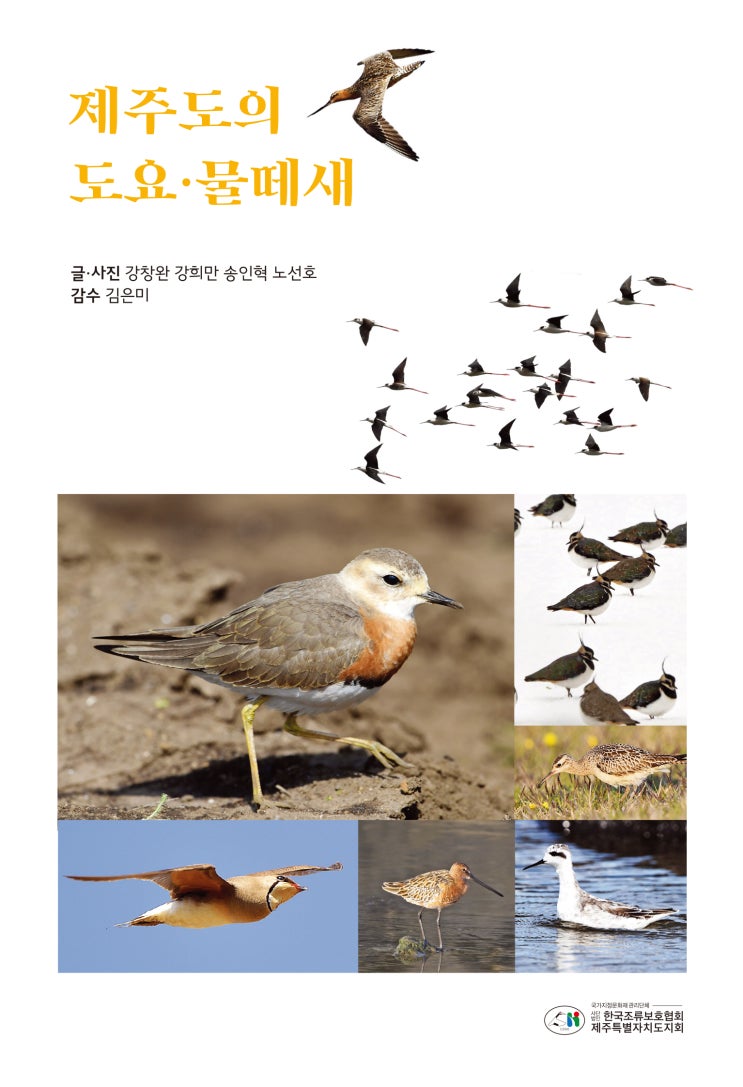  제주도의 도요·물떼새