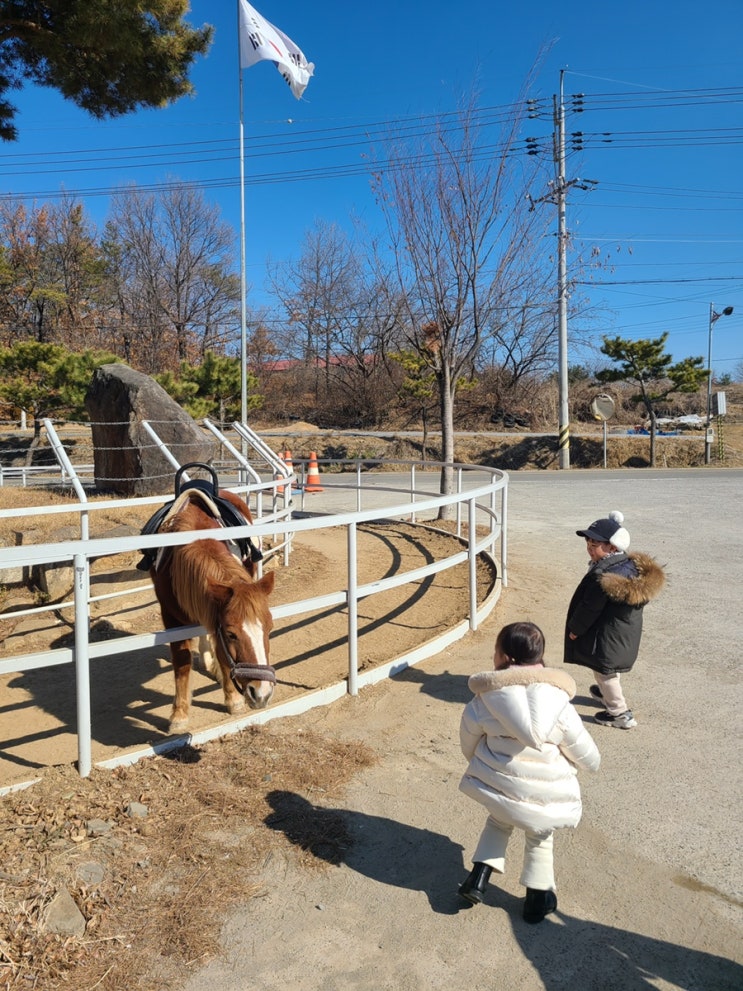  [경남창녕승마장] 아이 놀거리 가득! 동물먹이주기! 승마체험도 가능한 창녕우포승마장