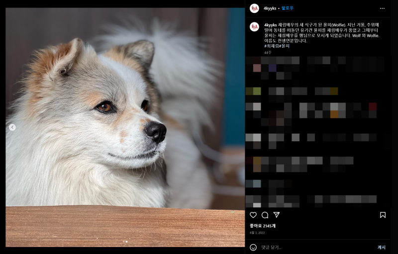 최재림은 왜 늑대를 좋아할까