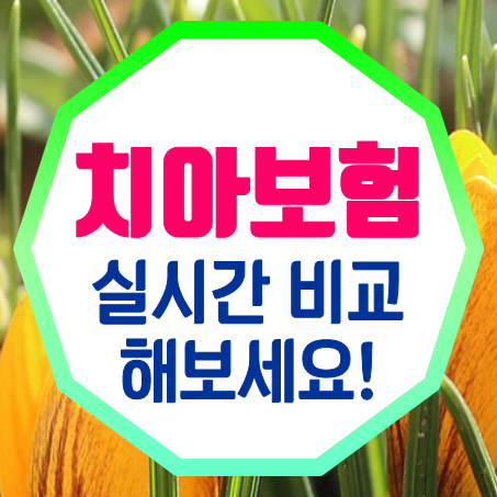  무진단형치아보험 추천 최신 기준으로 치아보험가입조건 비교 후 선택하세요.