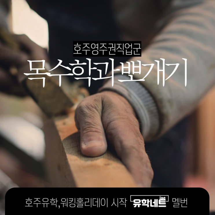  호주 영주권 직업 목수, 카펜터 학교부터 자격증 학과 정보까지 (유학네트 멜버른)