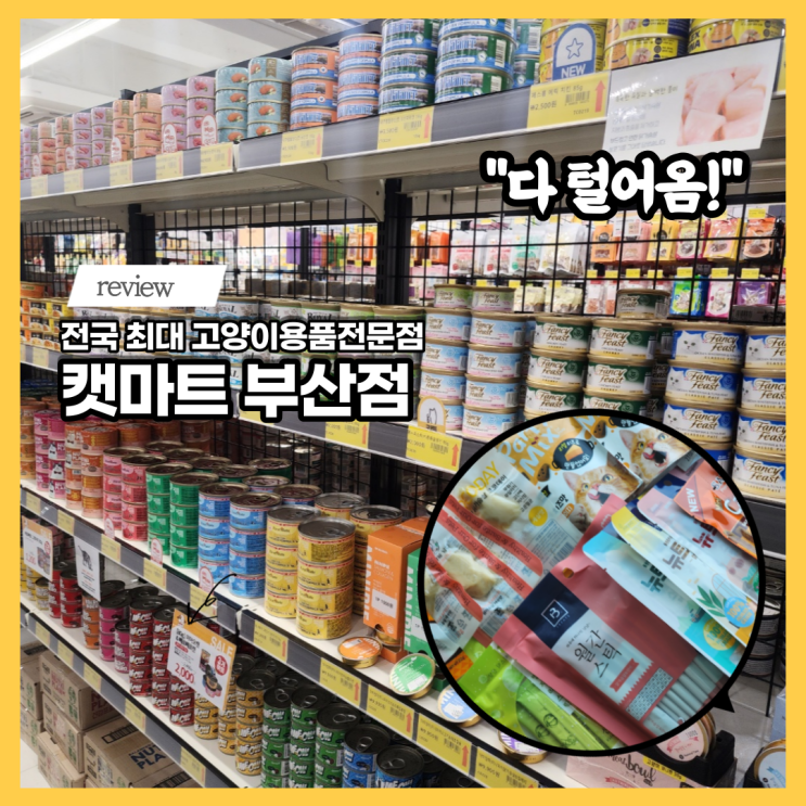  부산고양이용품 부산애완용품점 캣마트 부산점 대형 고양이쇼핑몰 쇼핑 후기