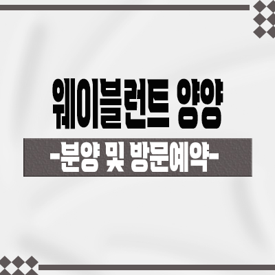  웨이블런트 양양 생활형숙박시설 죽도 해변 오션뷰 세컨하우스 양양군 레지던스 분양가격 소액투자 정보 안내