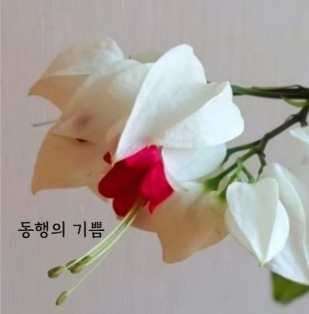 *동행의 기쁨* *동행의 기쁨*